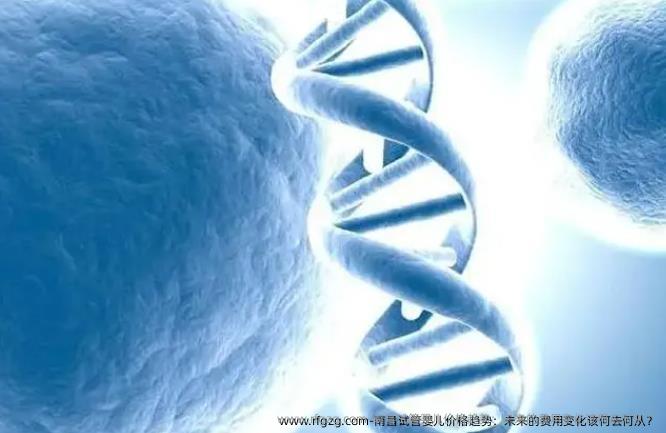 南昌代孕价格趋势：未来的费用变化该何去何从？