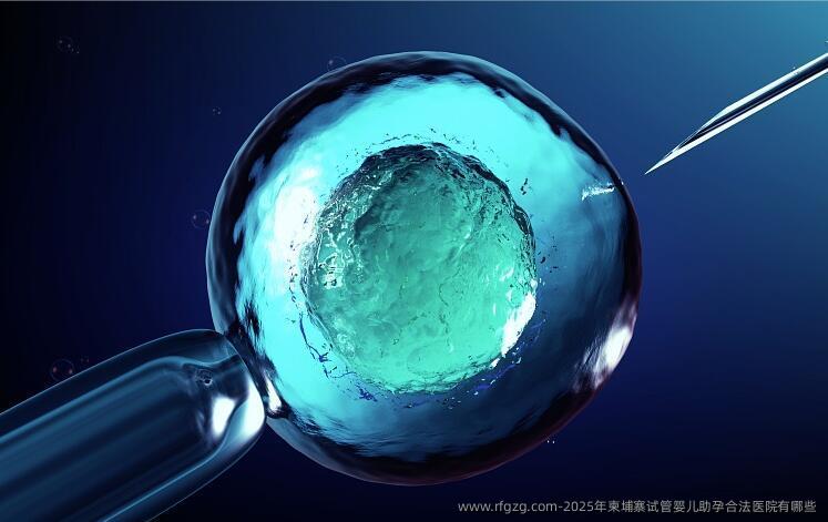 2025年柬埔寨代孕助孕合法医院有哪些