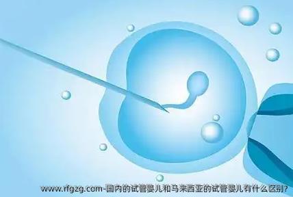 国内的代孕和马来西亚的代孕有什么区别?