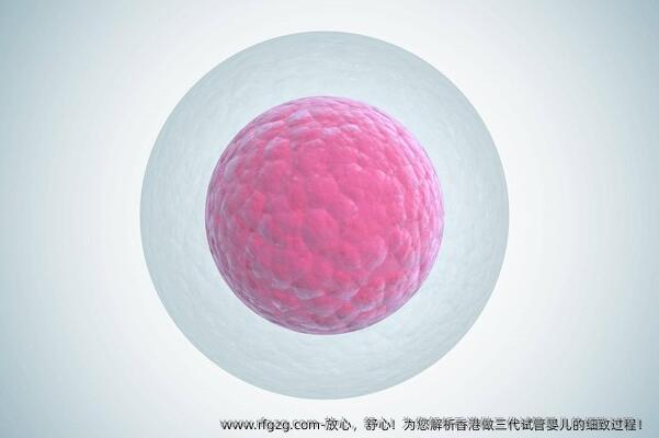 放心，舒心！为您解析香港做三代代孕的细致过程！