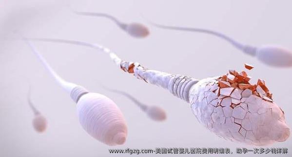 美国代孕医院费用明细表，助孕一次多少钱详解