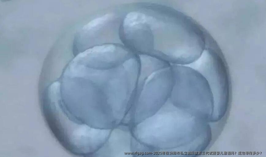 2025年在汾阳市私立医院做第三代代孕靠谱吗？成功率有多少？
