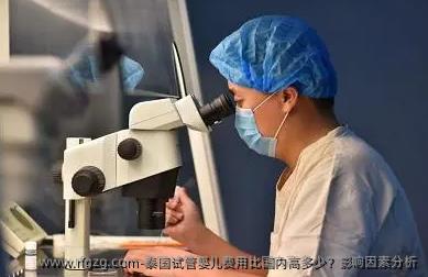 泰国代孕费用比国内高多少？影响因素分析