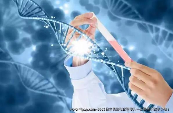 2025日本第三代代孕一次费用大致多少钱？