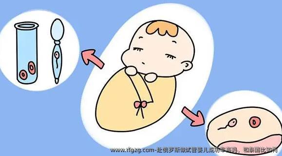 赴俄罗斯做代孕成功率高吗，和泰国比如何