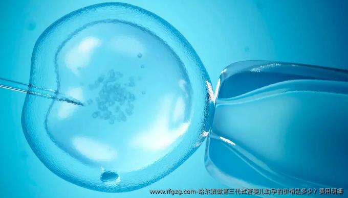 哈尔滨做第三代代孕助孕的价格是多少？费用明细