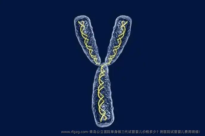 青岛公立医院单身做三代代孕价格多少？附医院代孕费用明细！