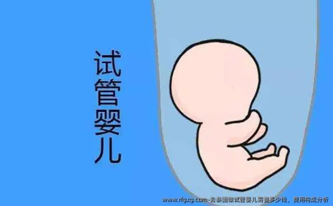 去泰国做代孕需要多少钱，费用构成分析