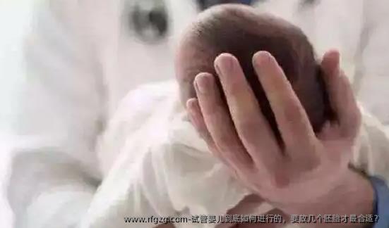 代孕到底如何进行的，要放几个胚胎才最合适？