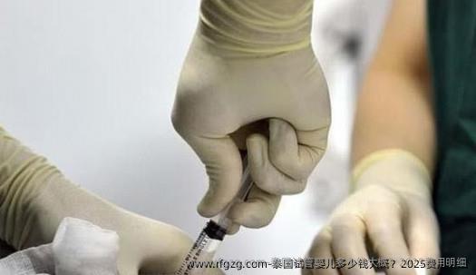 泰国代孕多少钱大概？2025费用明细