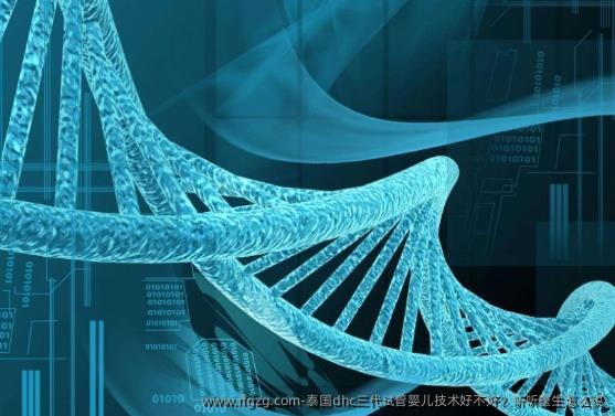 泰国dhc三代代孕技术好不好？听听医生怎么说