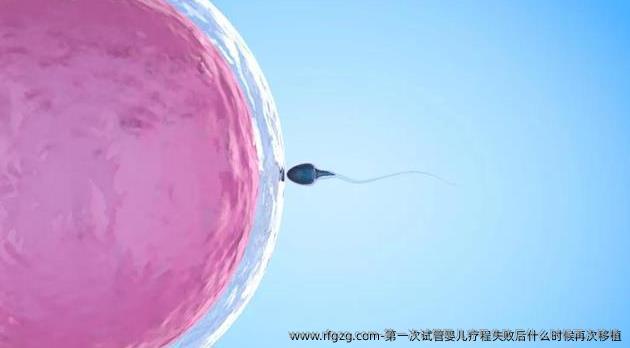第一次代孕疗程失败后什么时候再次移植