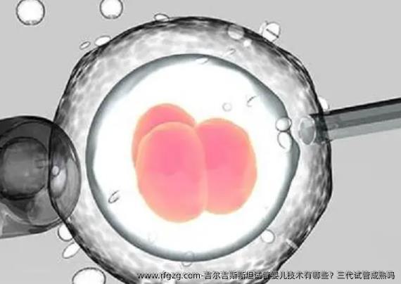 吉尔吉斯斯坦代孕技术有哪些？三代试管成熟吗