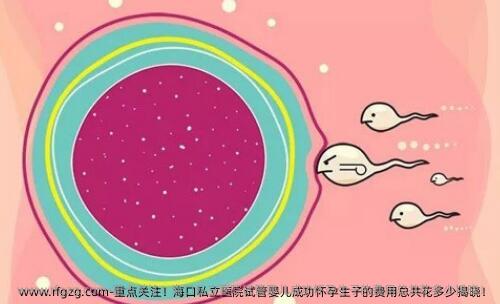 重点关注！海口私立医院代孕成功怀孕生子的费用总共花多少揭晓！