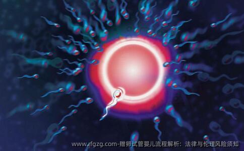 特需代孕流程解析：法律与伦理风险须知