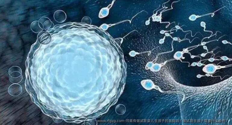 河南有做代孕生孩子的医院吗？做试管生孩子需要什么条件？