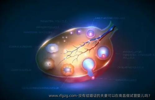 没有结婚证的夫妻可以在南昌做代孕吗？