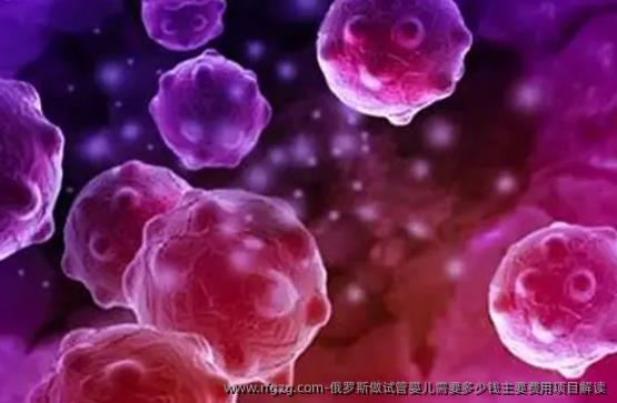 俄罗斯做代孕需要多少钱主要费用项目解读