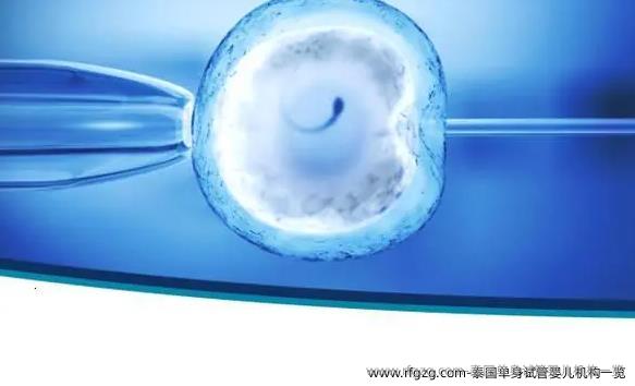 泰国单身代孕机构一览