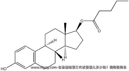 去泰国做第三代代孕多少钱？费用费用表