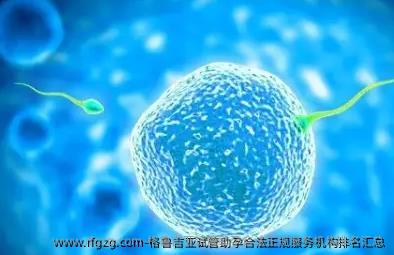格鲁吉亚试管助孕合法正规服务机构排名汇总