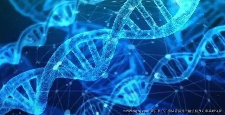肇庆私立机构代孕取精流程及注意事项详解